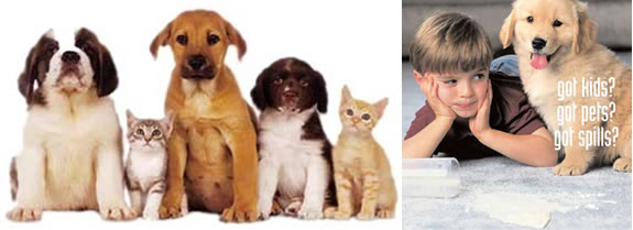 kids, pets or spills? Call us