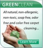 Green Cleaning